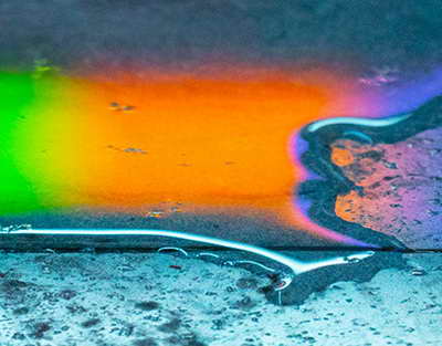 Жаңа Конституция тұрғын үй иелерінің құқықтарының басымдығын сақтайды