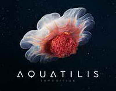 Bir zamanlar aparıcı idilər, indi mühüm vəzifələr tuturlar - SİYAHI