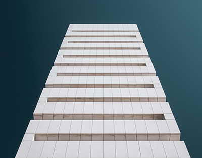 Bu ölkənin rəhbəri və xanımı təyyarə sürür — MARAQLI FAKTLAR