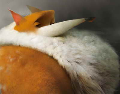 Həmcinsinə boşqabla xəsarət yetirən qadın məhkəmə zalında HƏBS EDİLDİ